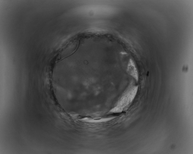 X0000101091397200807171837