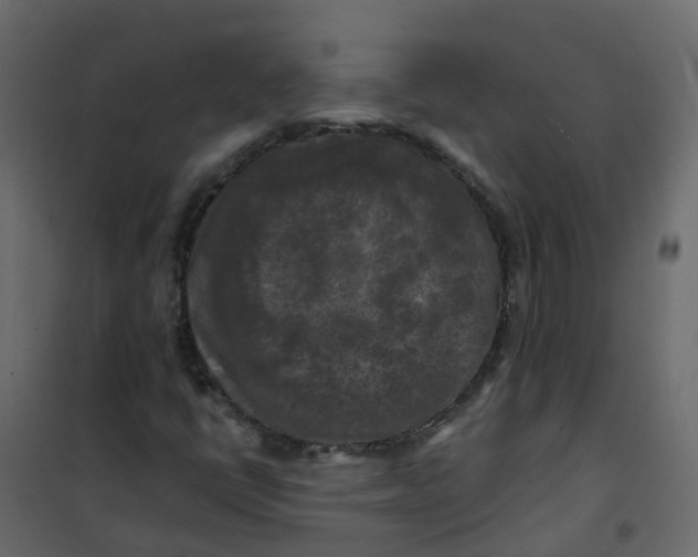 X0000101091398200807171837