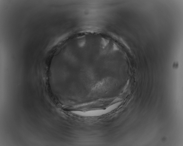 X0000101091399200807171837