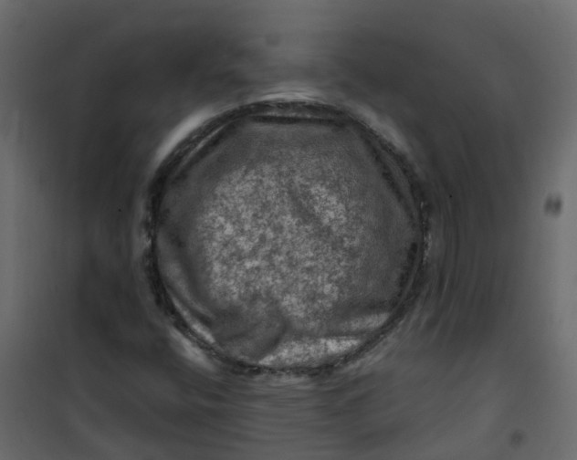 X0000101091400200807171837