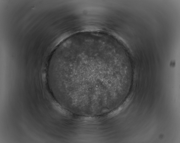 X0000101091401200807171837