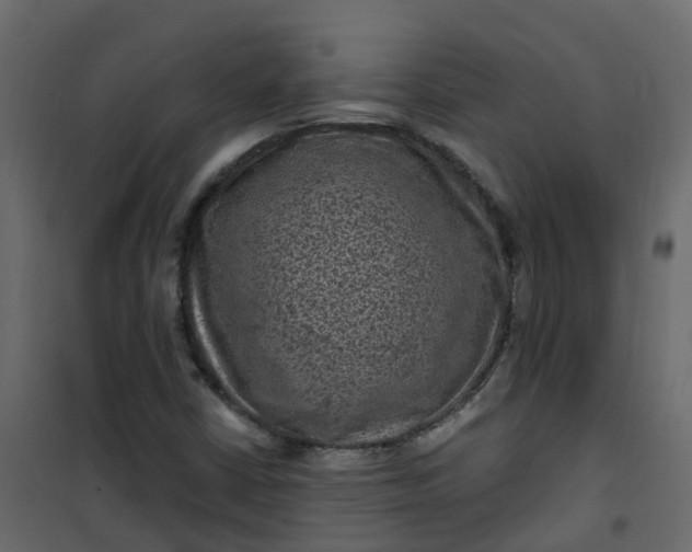 X0000101091402200807171837