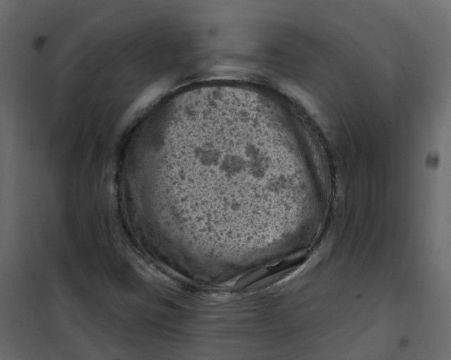 X0000101091403200807171837