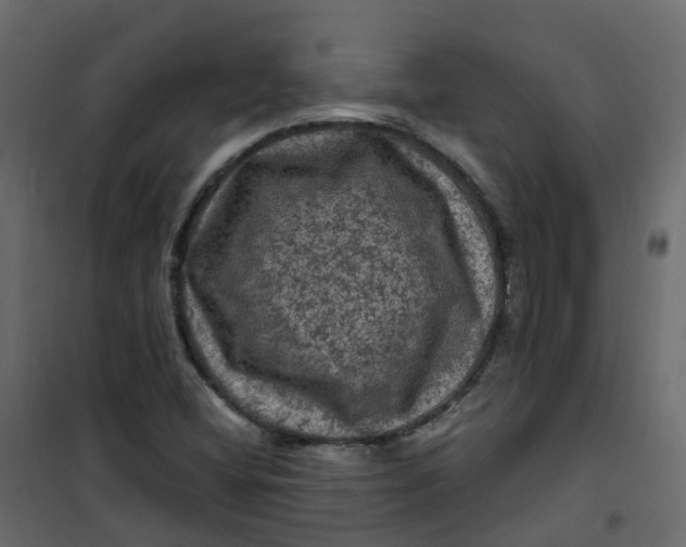 X0000101091404200807171837