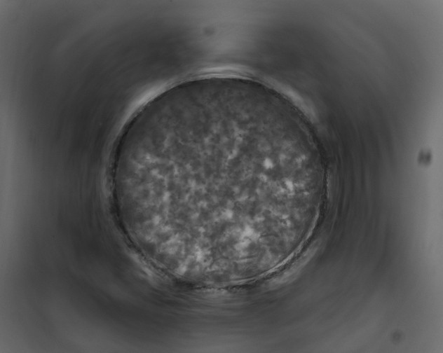 X0000101091405200807171837