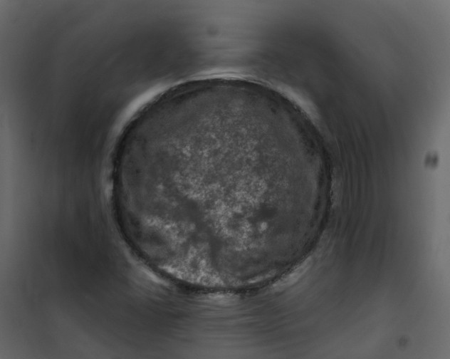 X0000101091406200807171837