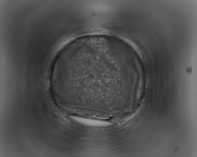 X0000101091407200807171837