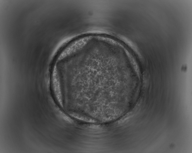 X0000101091408200807171837