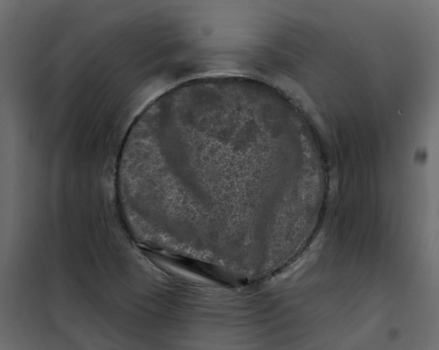 X0000101091409200807171837