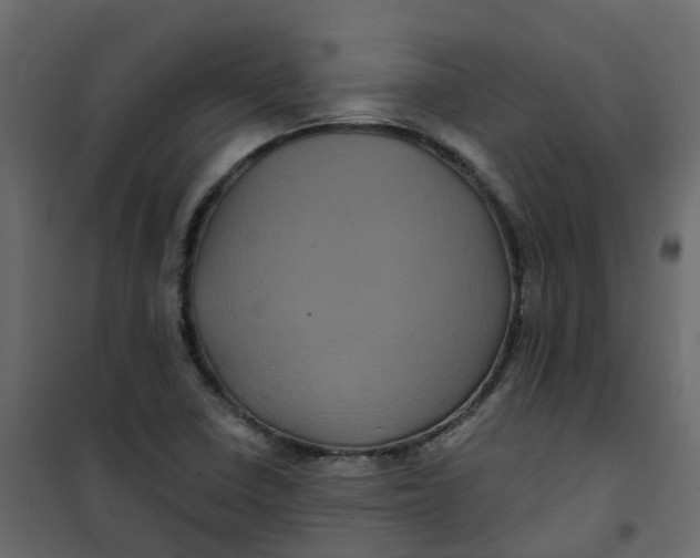 X0000101091410200807171837