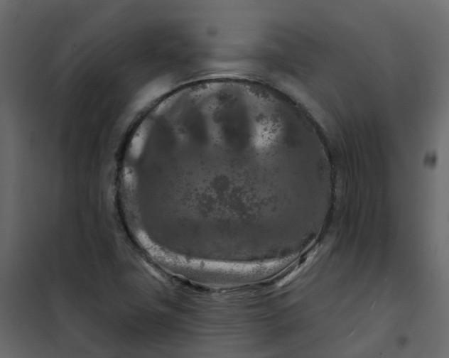 X0000101091411200807171837