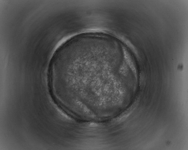 X0000101091412200807171837