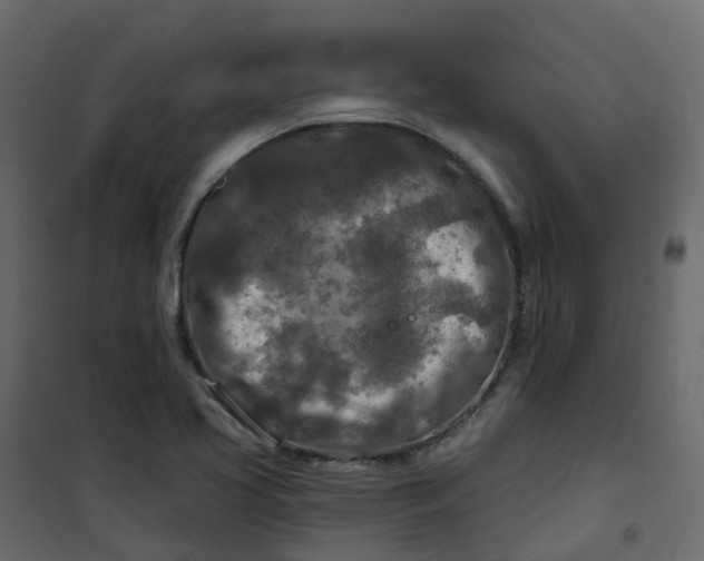 X0000101091413200807171837