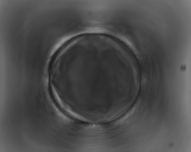 X0000101091414200807171837