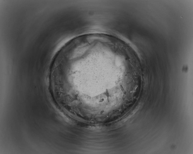 X0000101091415200807171837