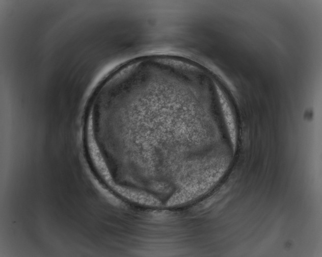 X0000101091416200807171837