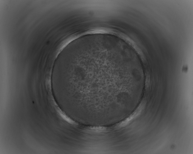 X0000101091417200807171837