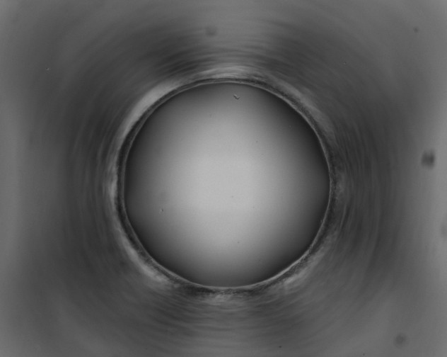 X0000101091418200807171837