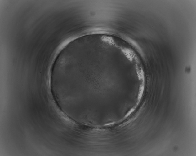 X0000101091419200807171837