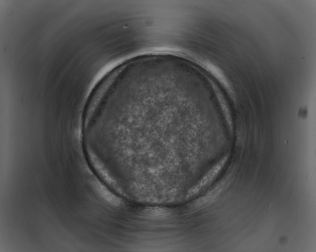 X0000101091420200807171837