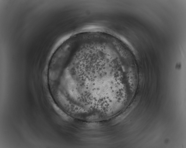 X0000101091421200807171837