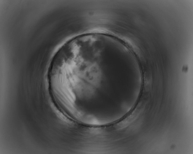 X0000101091422200807171837