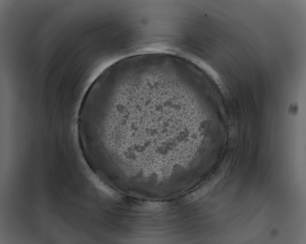 X0000101091423200807171837