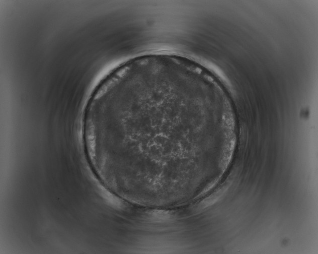 X0000101091424200807171837