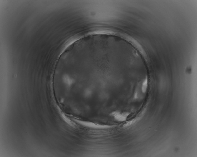 X0000101091425200807171837