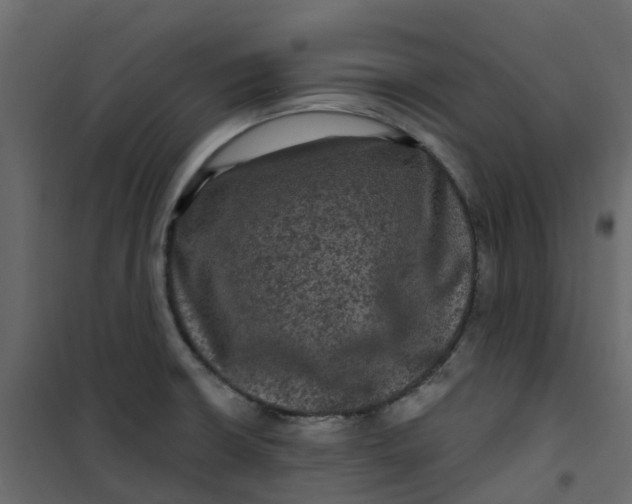 X0000101091426200807171837