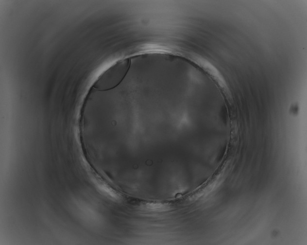 X0000101091427200807171837