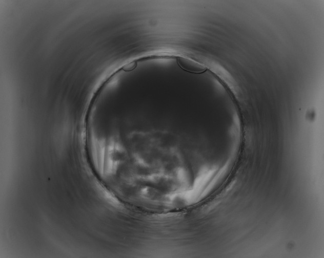 X0000101091428200807171837