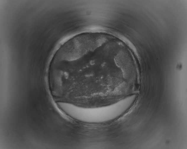 X0000101091429200807171837