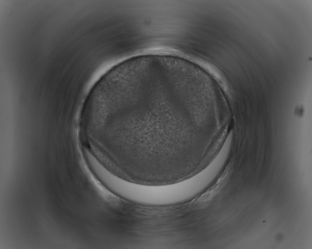 X0000101091430200807171837