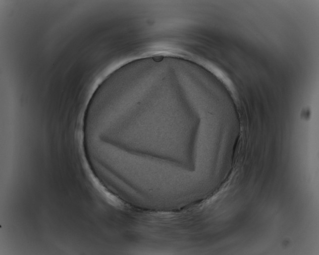 X0000101091431200807171837