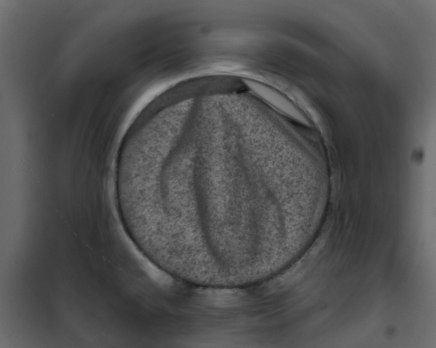 X0000101091432200807171837