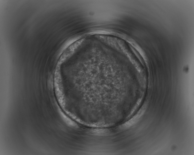 X0000101091433200807171837