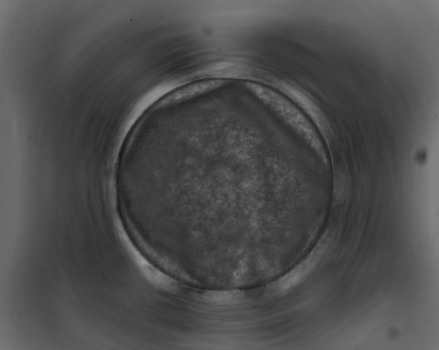 X0000101091434200807171837