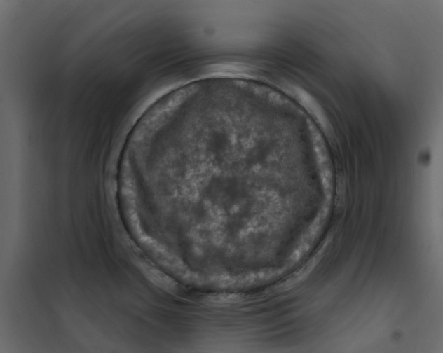 X0000101091435200807171837