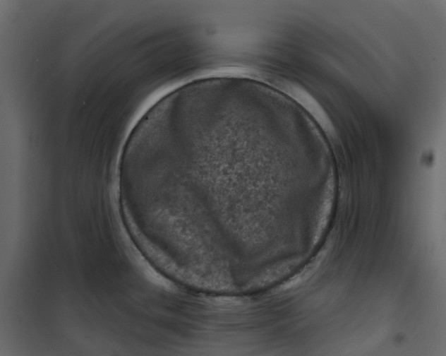 X0000101091436200807171837