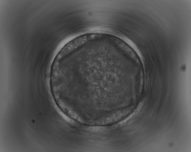 X0000101091437200807171837