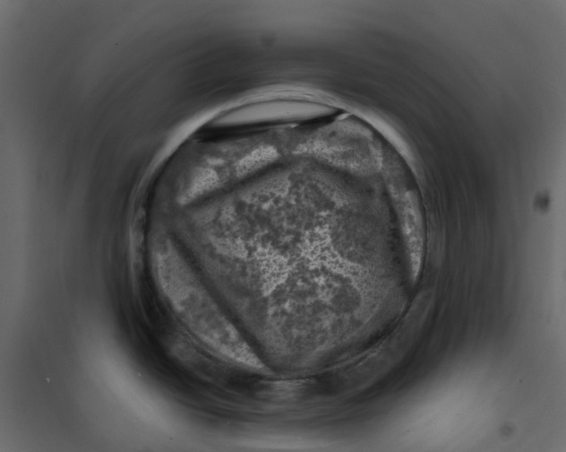 X0000101091438200807171837