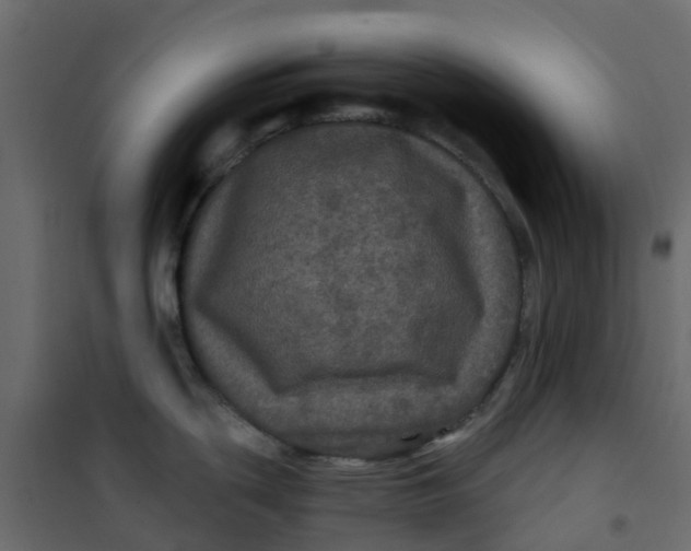 X0000101091439200807171837