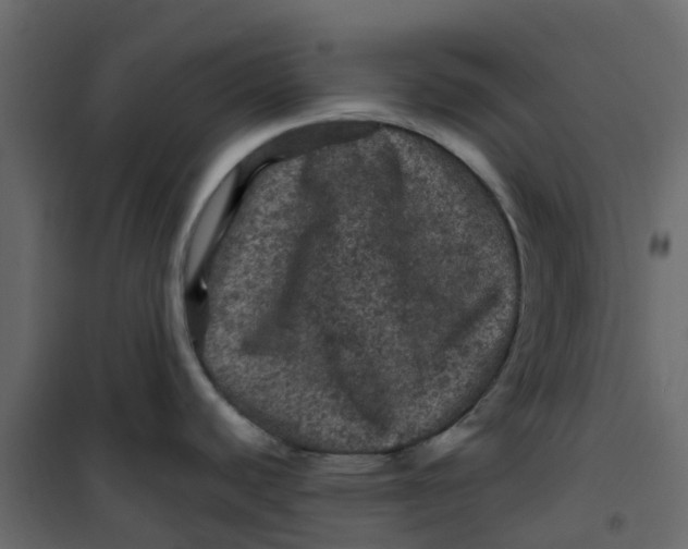 X0000101091440200807171837