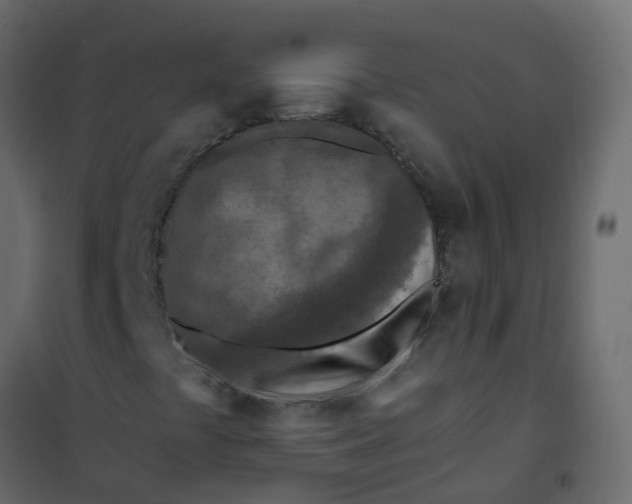 X0000101091441200807171837