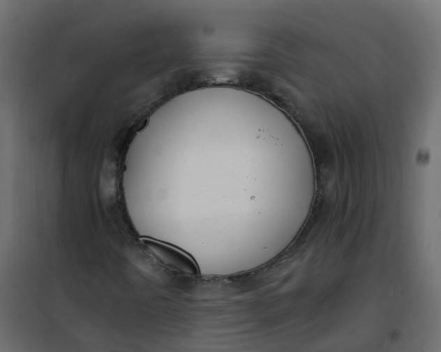 X0000101091442200807171837