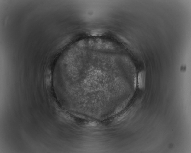 X0000101091443200807171837