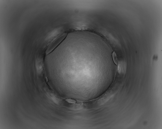 X0000101091444200807171837