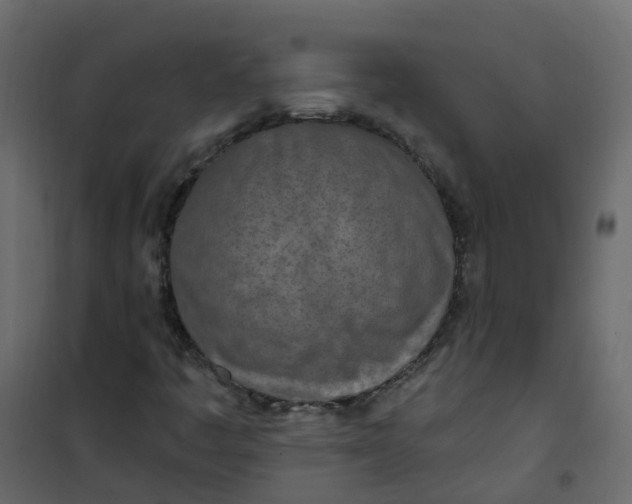 X0000101091445200807171837