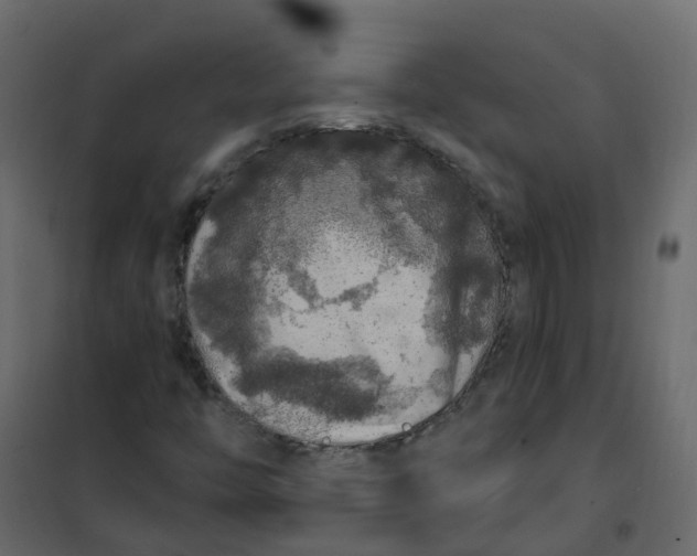 X0000101091446200807171837